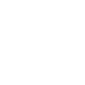 Vegan Snacks